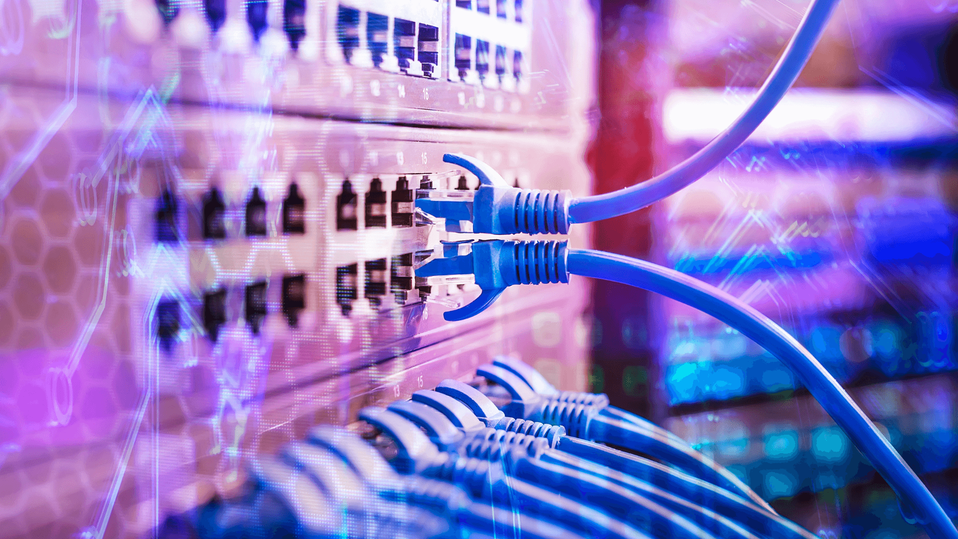 information technology (1)